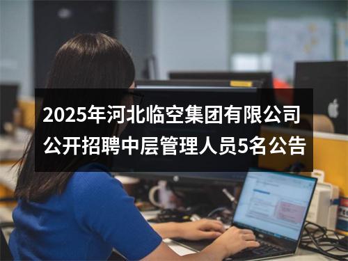 2025年河北临空集团有限公司公开招聘中层管理人员5名公告 图片