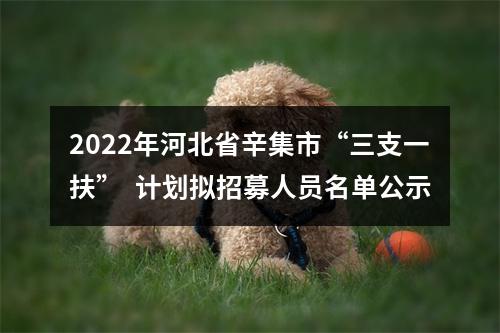 2022年河北省辛集市“三支一扶”  计划拟招募人员名单公示 图片