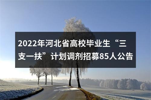 2022年河北省高校毕业生“三支一扶”计划调剂招募85人公告 图片