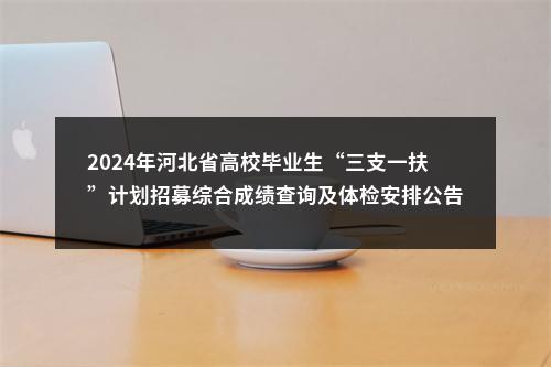 2024年河北省高校毕业生“三支一扶”计划招募综合成绩查询及体检安排公告 图片