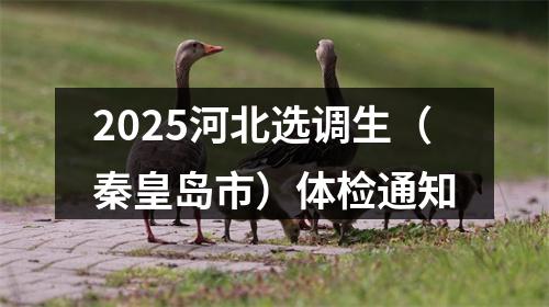 2025河北选调生（秦皇岛市）体检通知 图片