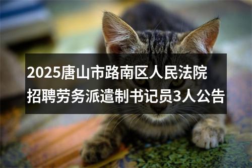 2025唐山市路南区人民法院招聘劳务派遣制书记员3人公告 图片