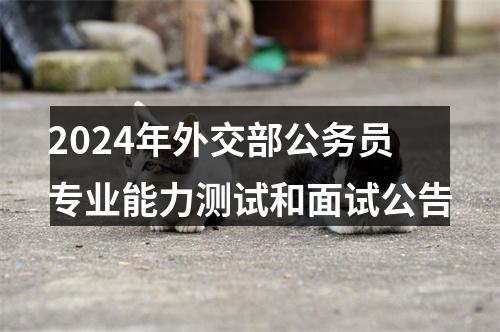 2024年外交部公务员专业能力测试和面试公告 图片
