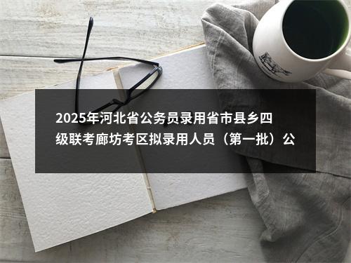 2025年河北省公务员录用省市县乡四级联考廊坊考区拟录用人员（第一批）公示 图片