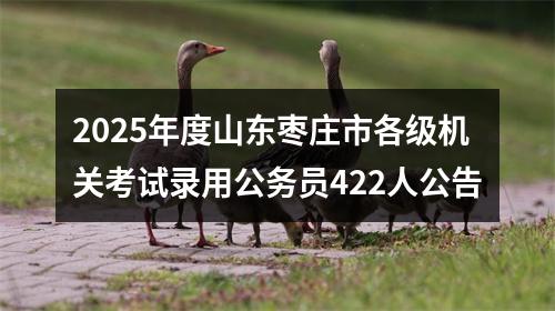 2025年度山东枣庄市各级机关考试录用公务员422人公告 图片