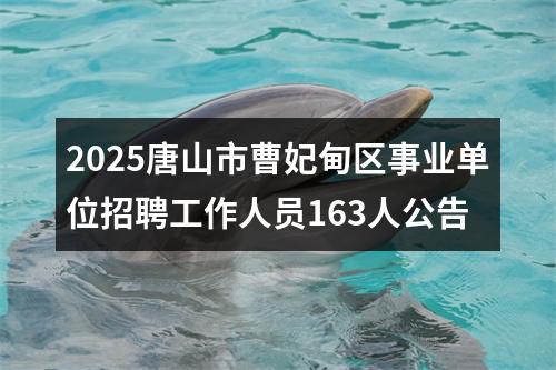 2025唐山市曹妃甸区事业单位招聘工作人员163人公告 图片