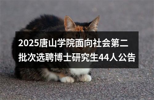 2025唐山学院面向社会第二批次选聘博士研究生44人公告 图片