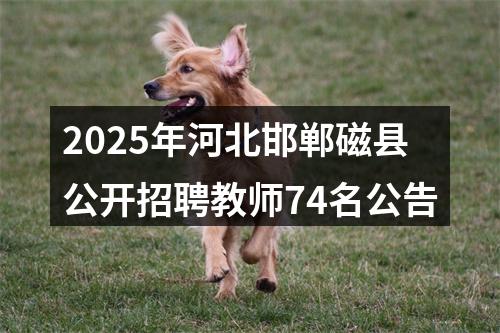 2025年河北邯郸磁县公开招聘教师74名公告 图片
