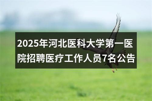 2025年河北医科大学第一医院招聘医疗工作人员7名公告 图片