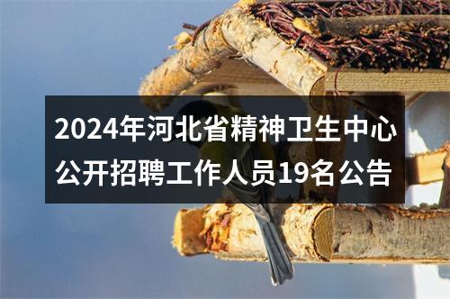 2024年河北省精神卫生中心公开招聘工作人员19名公告 图片