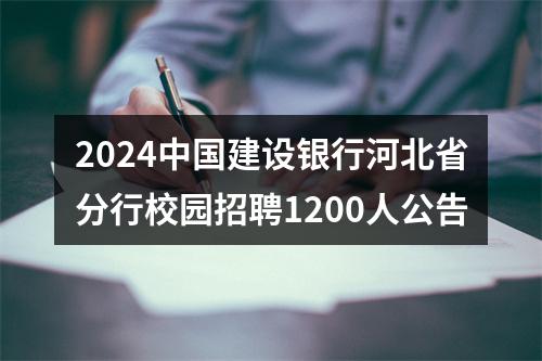 2024中国建设银行河北省分行校园招聘1200人公告 图片