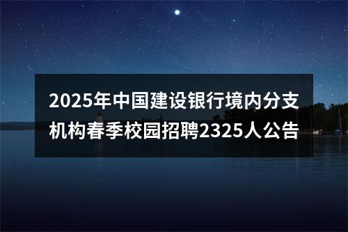 2025年中国建设银行境内分支机构春季校园招聘2325人公告 图片