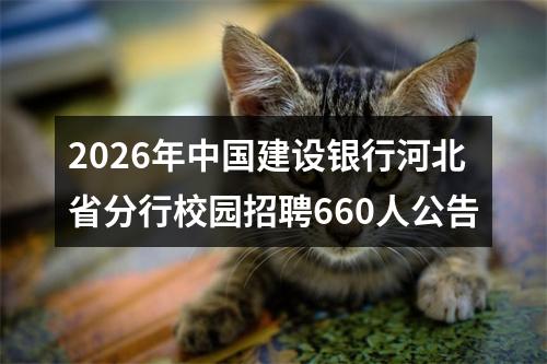 2026年中国建设银行河北省分行校园招聘660人公告 图片