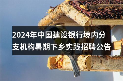 2024年中国建设银行境内分支机构暑期下乡实践招聘公告 图片