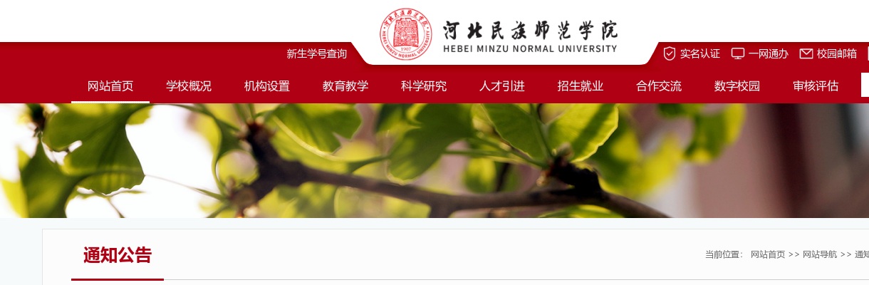 2024年河北省大学生志愿服务乡村振兴计划省级集中选拔人员公示 图片